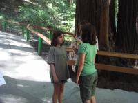 The mystery spot changes the twin's height.