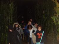 Going through the corn maze