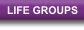 Life Groups