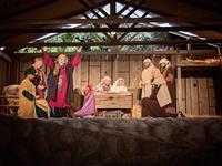 The manger at the stable at Bethlehem