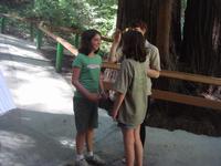 The mystery spot changes the twin's height.