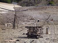 Our driftwood sculptures at Stevens Creek reservoir