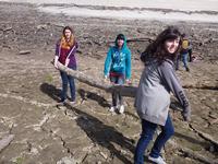 Gathering wood for our sculptures