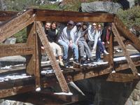 Bridge over the falls