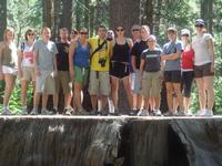 Standing on a giant trunk at Big Trees State Park