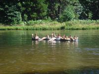 Tube girls in the pond