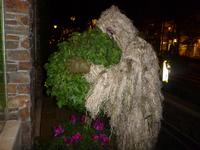 Ghillie suit man found a friend