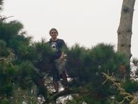 Brayden climbed up a tree at Golden Gate park to fetch his disc.