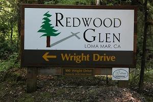 Redwood Glen