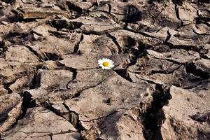 Surviving a Spiritual Drought