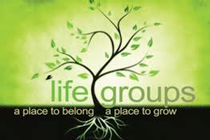 Summer Life Groups