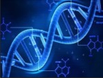 The DNA of SCFBC