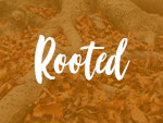 Rooted