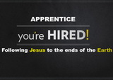 Apprentice: You Are Hired!